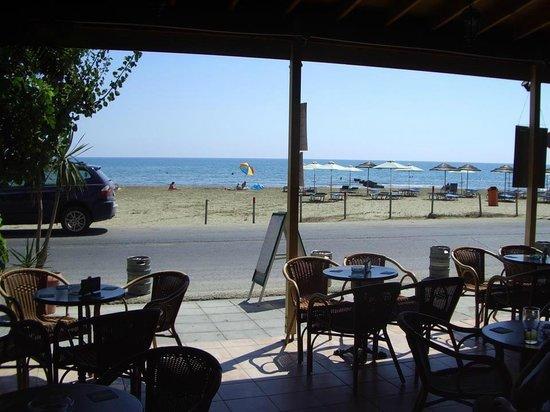 The Seagull Larnaca